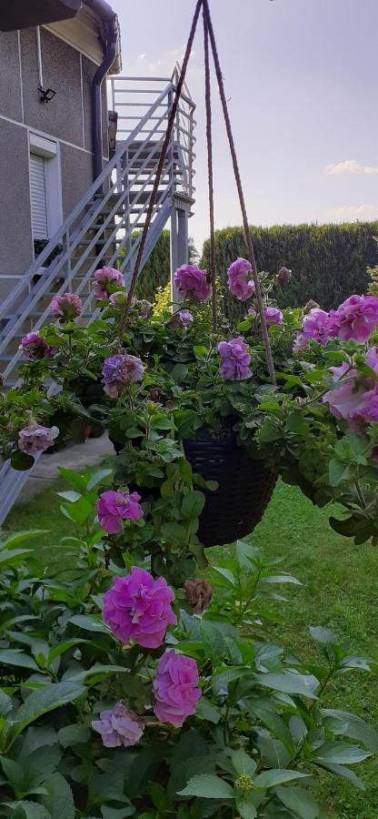 Spytkowice  Apartament Jutrzenka מראה חיצוני תמונה