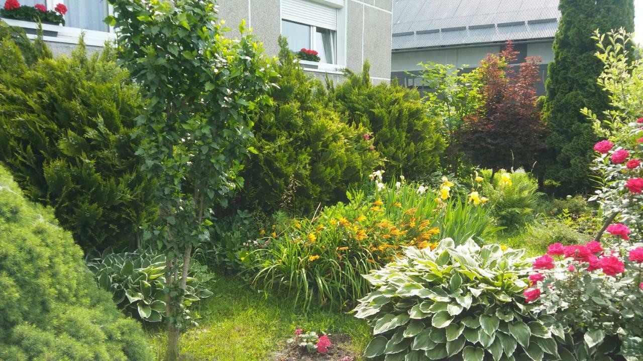 Spytkowice  Apartament Jutrzenka מראה חיצוני תמונה